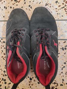 Sparx Sport Shoes