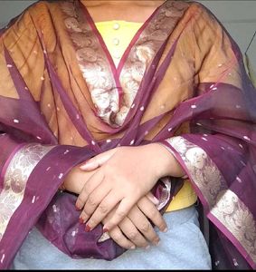 Elegant Maroon &amp; Gold Dupatta