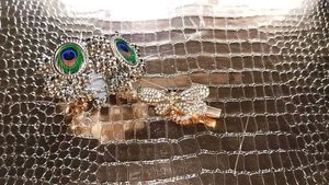 Sparkly Hair Clips - Butterfly & Peacock