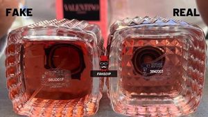 valentino perfume