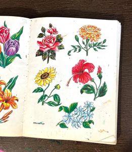 Complete Course Of Drawing Painting And Sketching