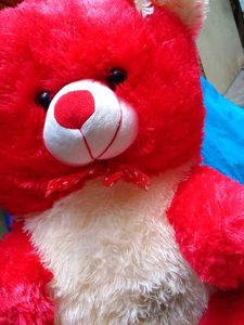 Teddy