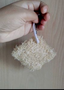 Natural Loofah Sponges