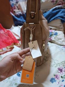 Taupe Hobo Bag