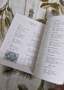 rare Islamic Heritage of India Book
