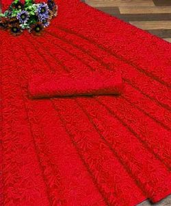 Net Design Saree