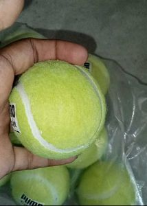 Green Tennis Ball Pack Of 8