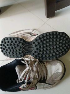 Cricket Shoes