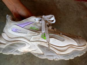 Shoe