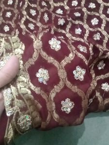 Bridal Designer Saree And Blouse