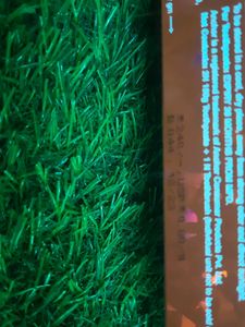 💥 Anchor Red Gel Toothpaste 150g×2