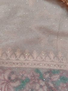 Elegant Embroidered Saree