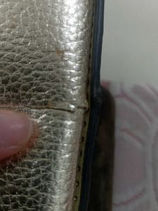 Light Golden Bag