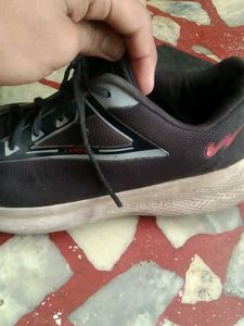 campus sports shoes