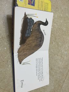 Mamma&#39;s and Pappa&#39;s in the Wild Book Set