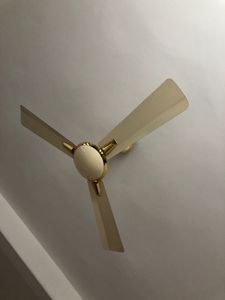 Ceiling Fan