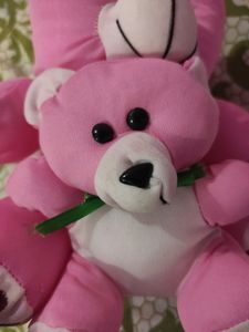 Cute Teddy🧸 (medium size)
