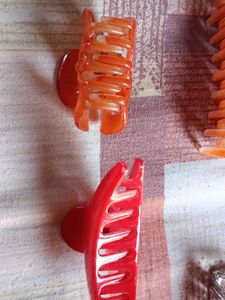 4  Fashionable Hair Clips