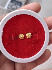 Beautiful New Flower 🌼 Desine Studs