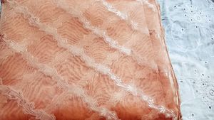 Tissue Saree 2