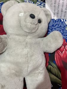 Teddy