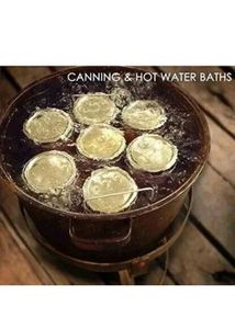 Glass Storage Jars (Set of 12)