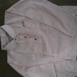 Striped Shirt