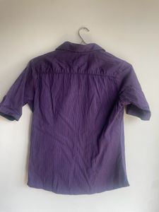 Purple Striped Short Sleeve Button-Down