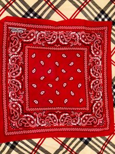 Red Paisley Bandana
