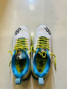 DSC sports shoes