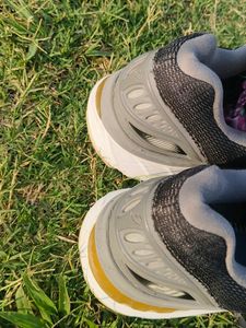 Asics Gel Nimbo 20