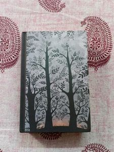 Echo - Pam Munoz Ryan Novel