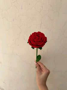Crochet Rose🌹