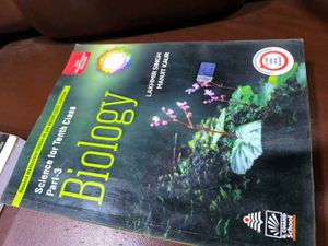 Study Books For 10th Class (NCERT)