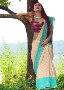handloom Saree