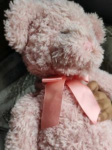 Pink Plush Soft Toy