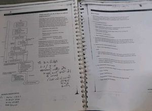 Neonatal Care Manual