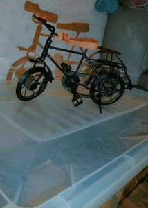 Metal Showpiece Cycle