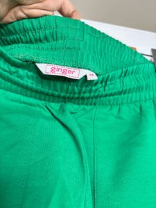 Green Casual Shorts