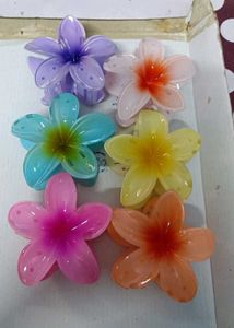 Plumeria 6 Pieces Claws