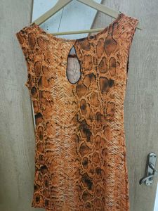 Mini Animal Print Dress