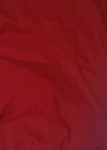 Red Ruffle Sleeve Top