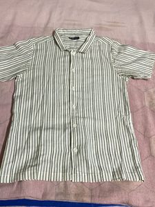 Collard Half Slv Shirt With Green Stripe