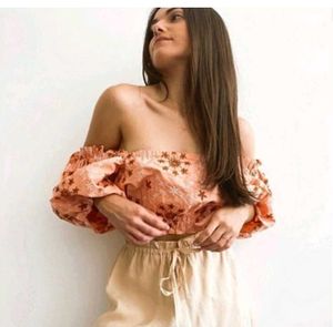 Zara Embroidered Voluminous Puff Sleeve Crop Top B