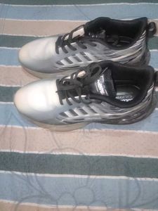 Stylish Silver Sneakers