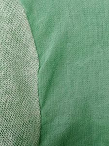 Transparent Summer Top