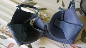 Blue Padded Bra - Everyday Comfort