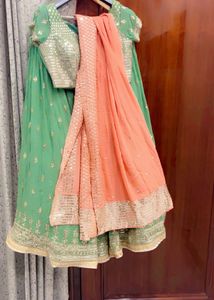 Pastel Green Embroidered Lehenga with Matching Blo