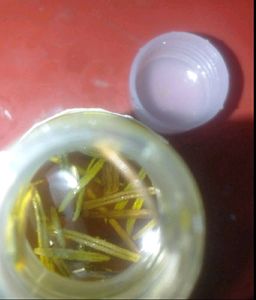 Homemade 100%pure Organic Rosemary Oil