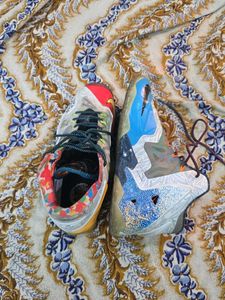 Nike LeBron Edition